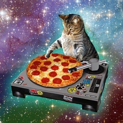 DJ Pizza Space Cat 