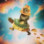 Pizza face space turtle cat 